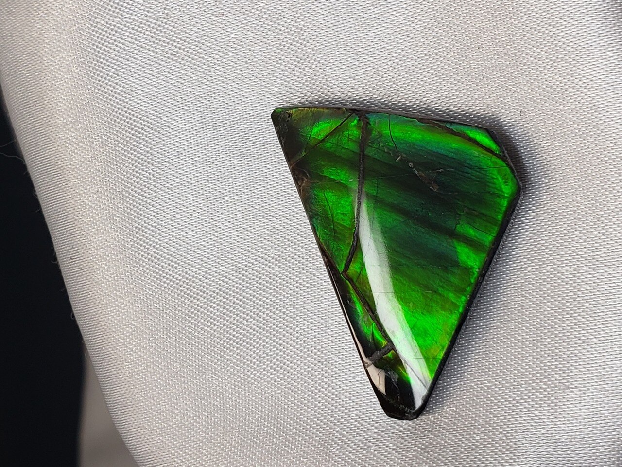 Free Form Triangle 33x20 Ammolite Solid Green With Hints of Blue