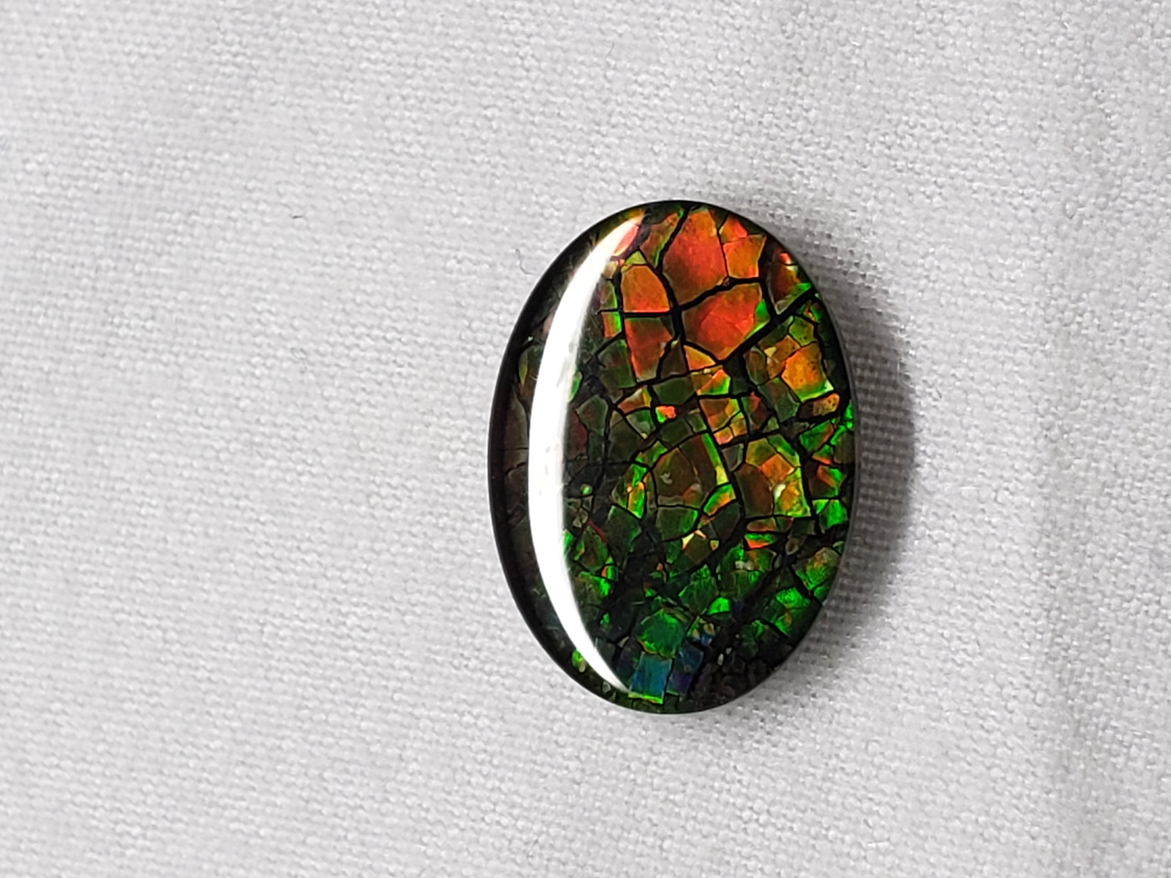 12x16 Ammolite Canada's Oval Form 2 Color Green & Gold Gem