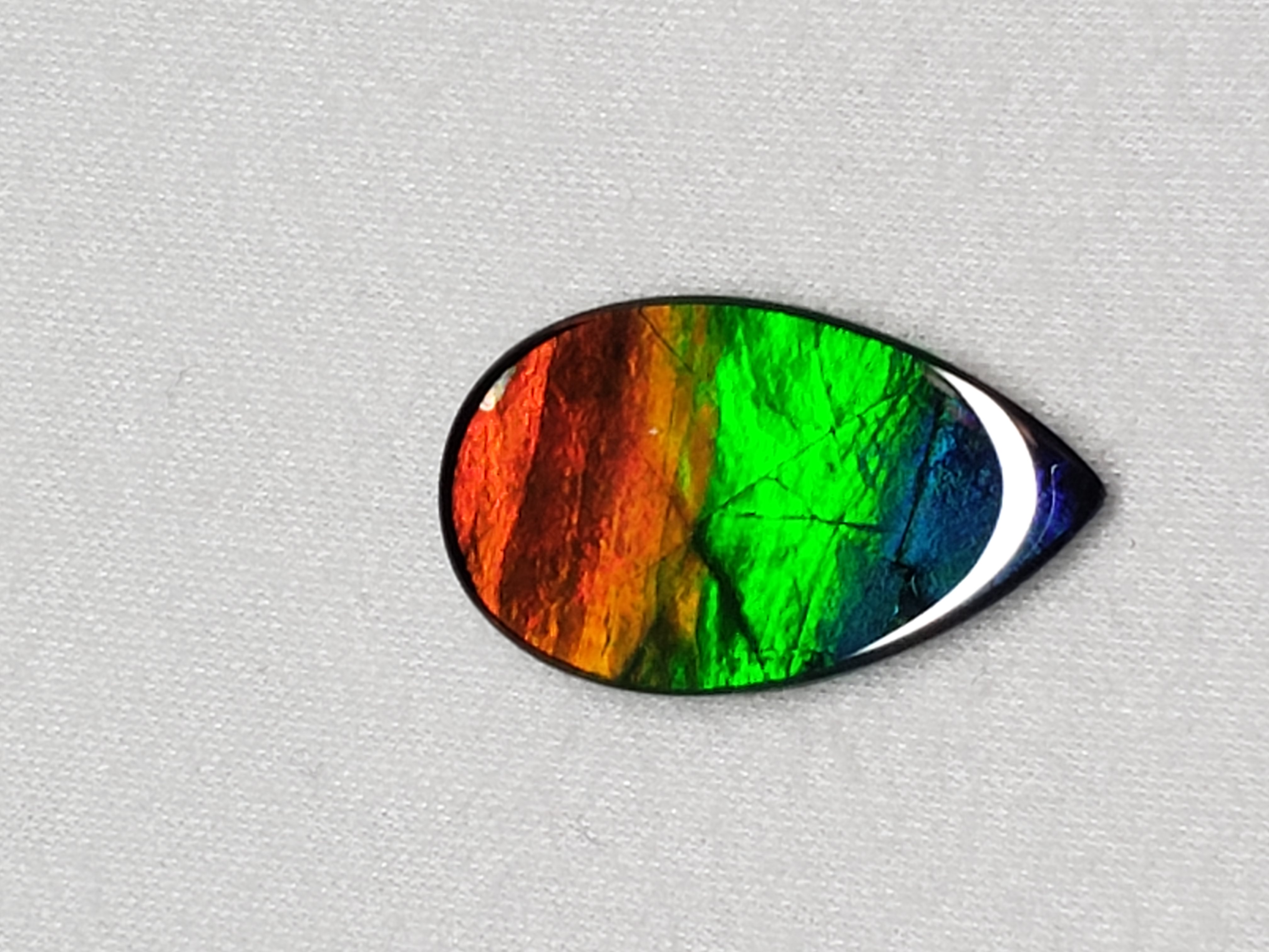 22x13 Ammolite Canada's Pear Form 3 Color Blue Green & Gold Gem 274