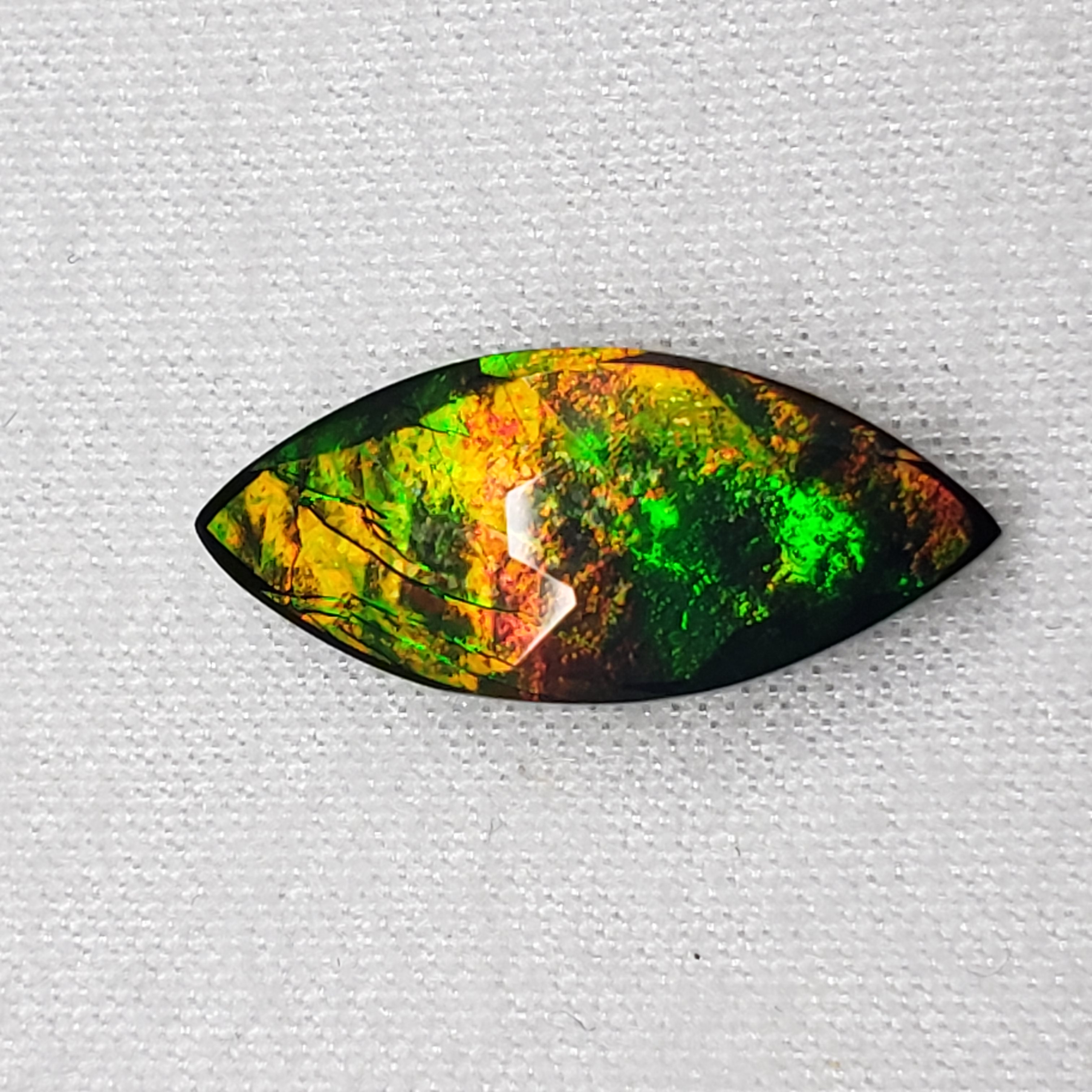 16x7 Ammolite Canada's Marquise Form 2 Color Gold & Green Gem 324