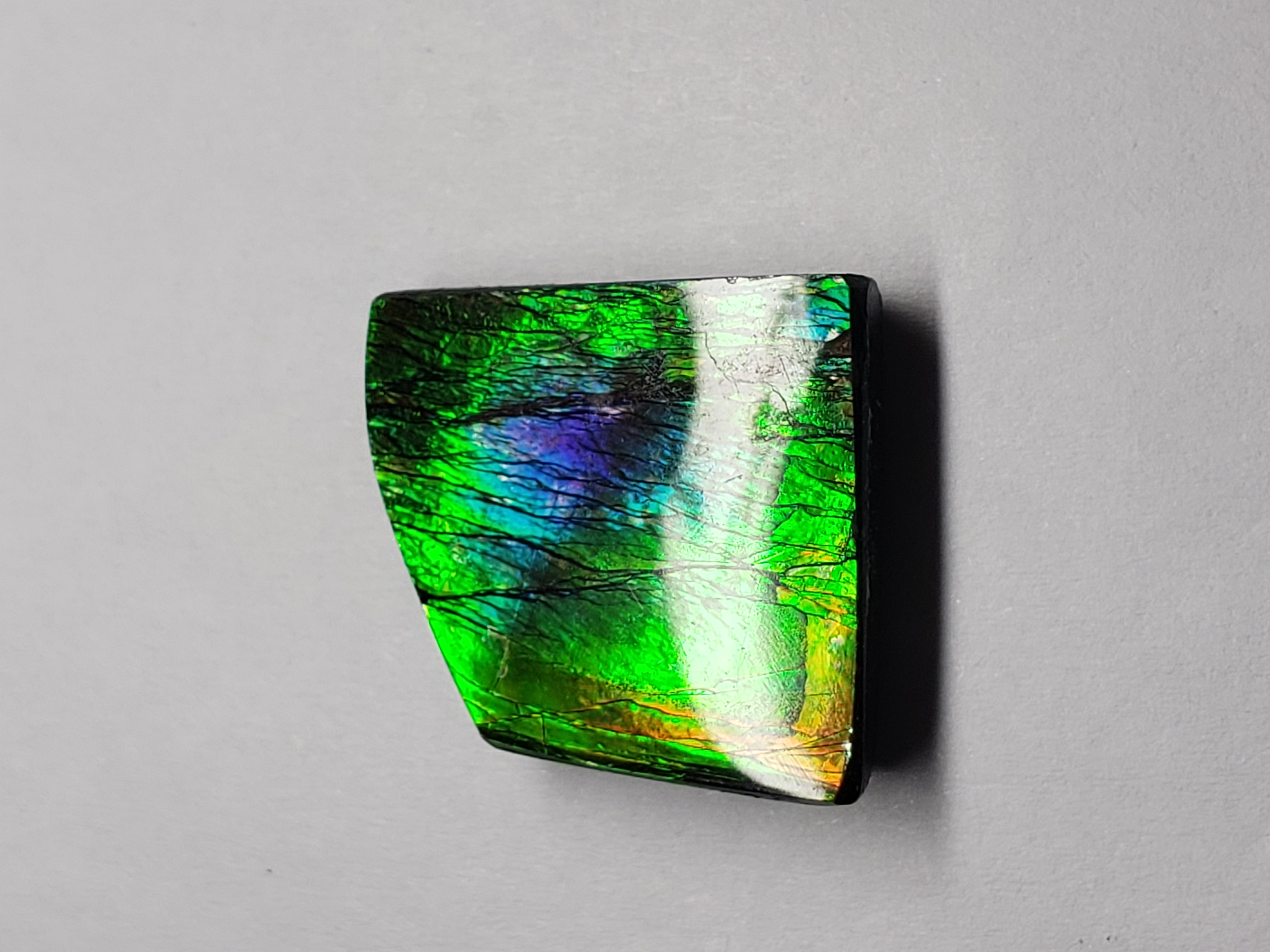 19x20 Ammolite Natural Free Form 3 Color Purple Green & Gold Gemstone