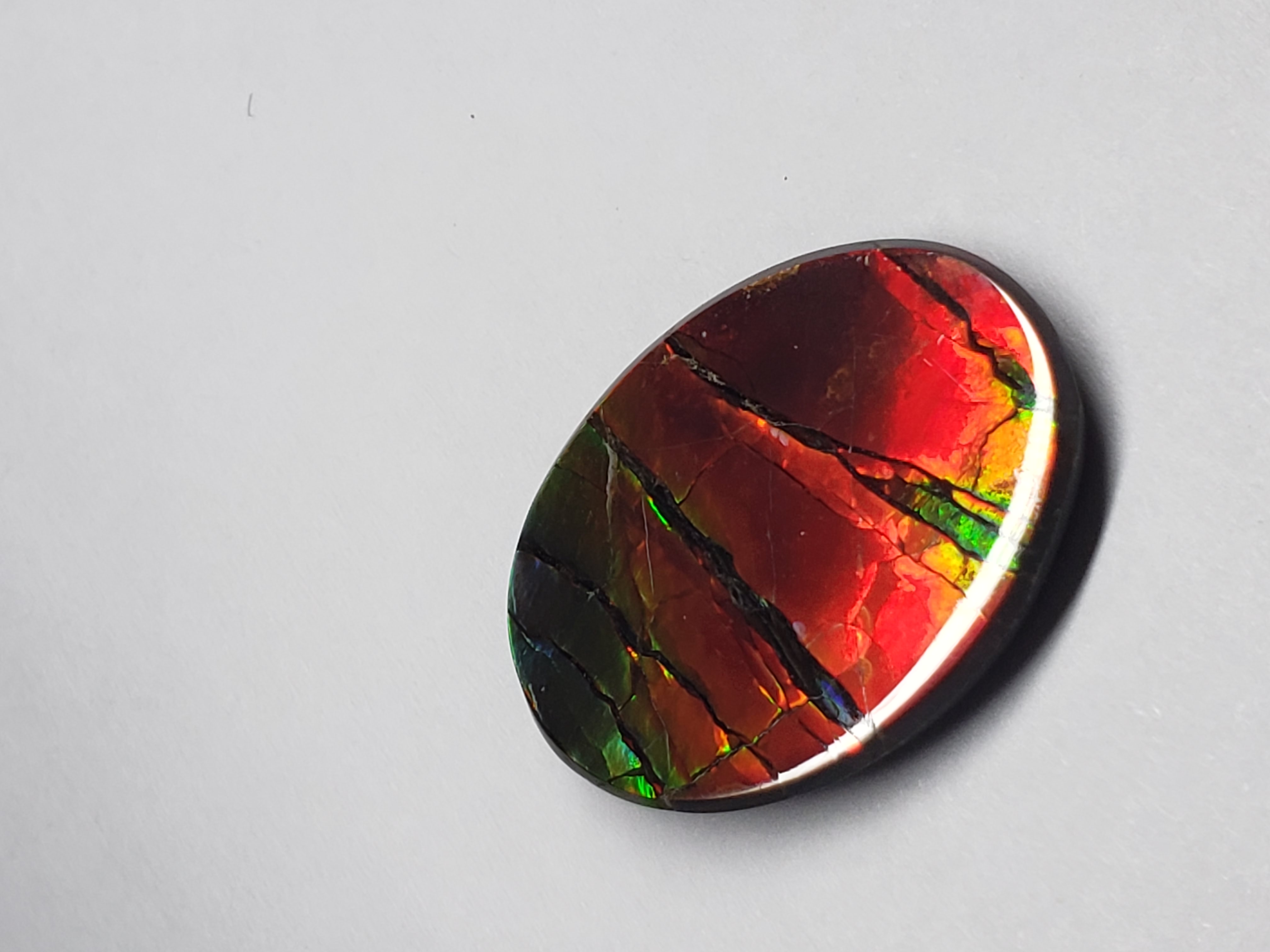 24x18 Ammolite Canada's Opal Oval Shape Triplet 3 Color Green Red & Gold Gemstone