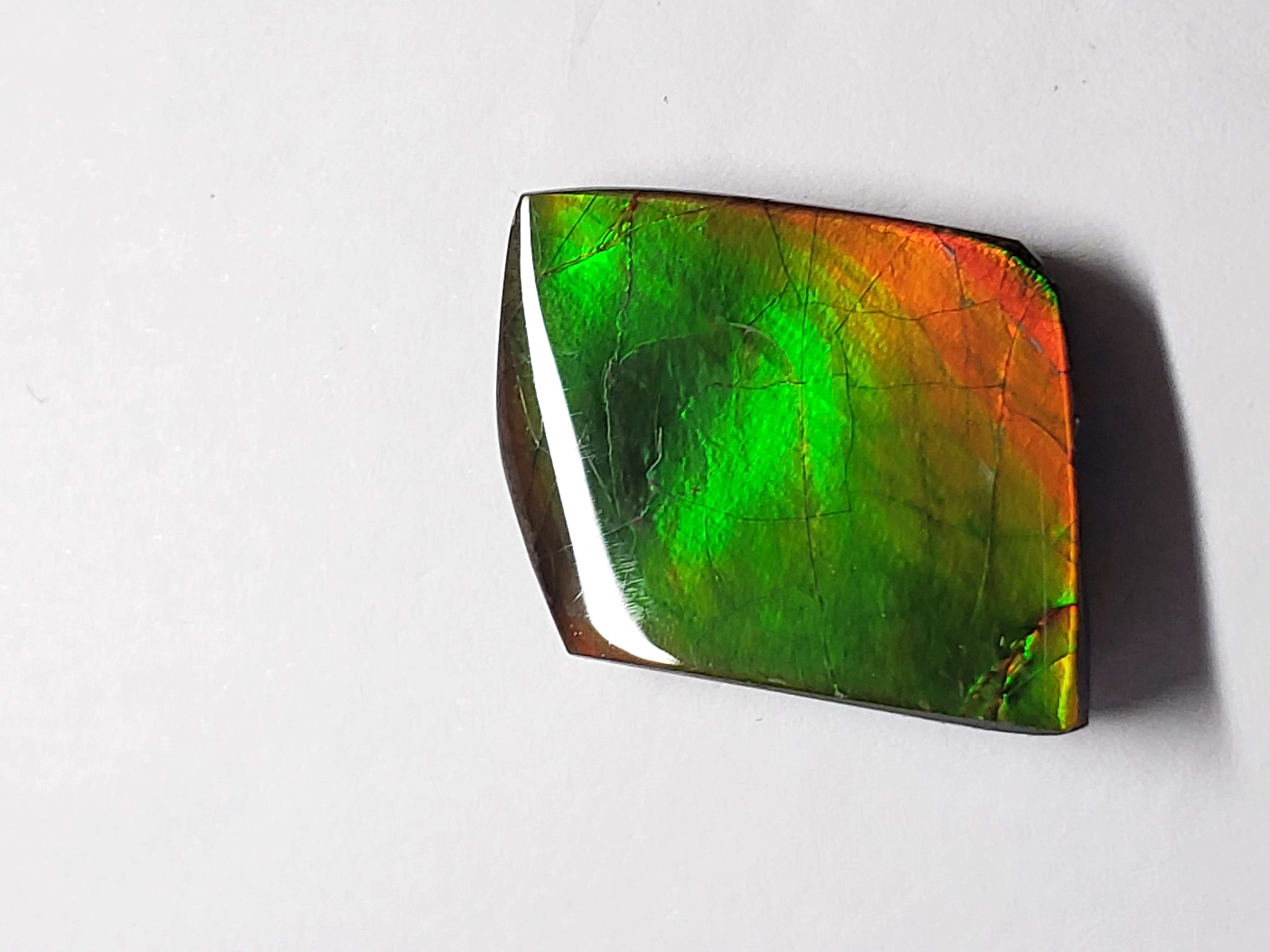 17x22 Ammolite Canada's Opal Natural Free Form 2 Color Green & Gold Gemstone