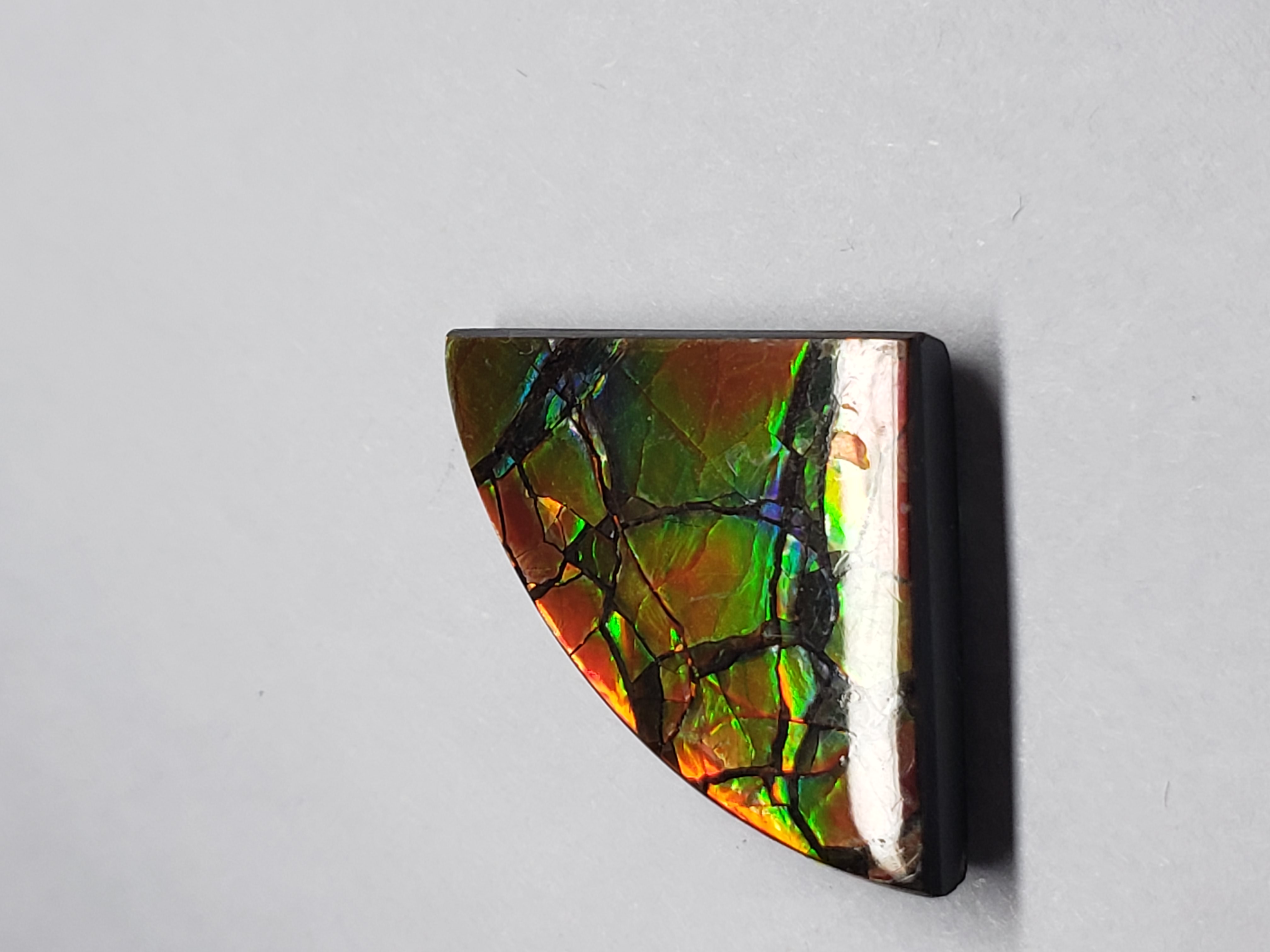 8x16 Ammolite Canada's Natural Free Form 2 Color Green & Red Gem