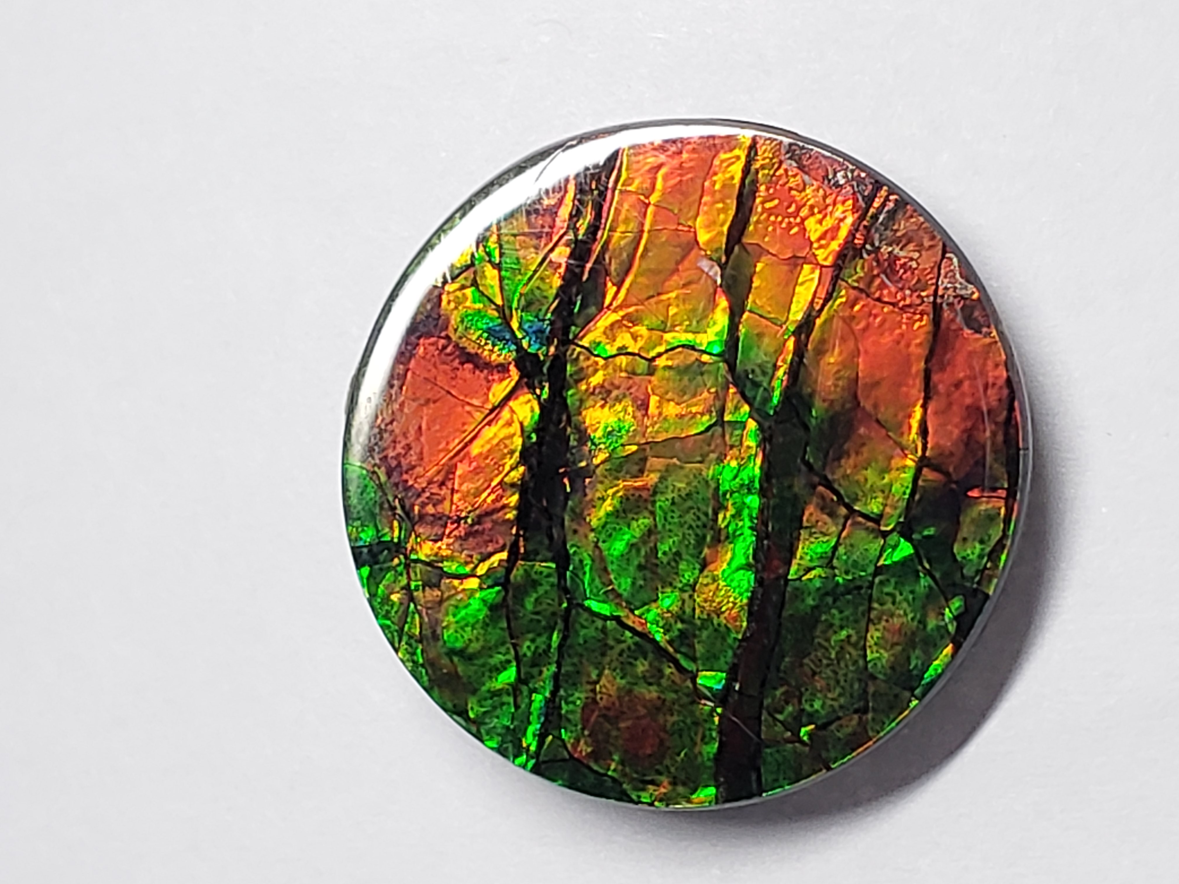 22x22 Ammolite Canada's Opal Round Shape Triplet 2 Color Gold & Blue Gemstone