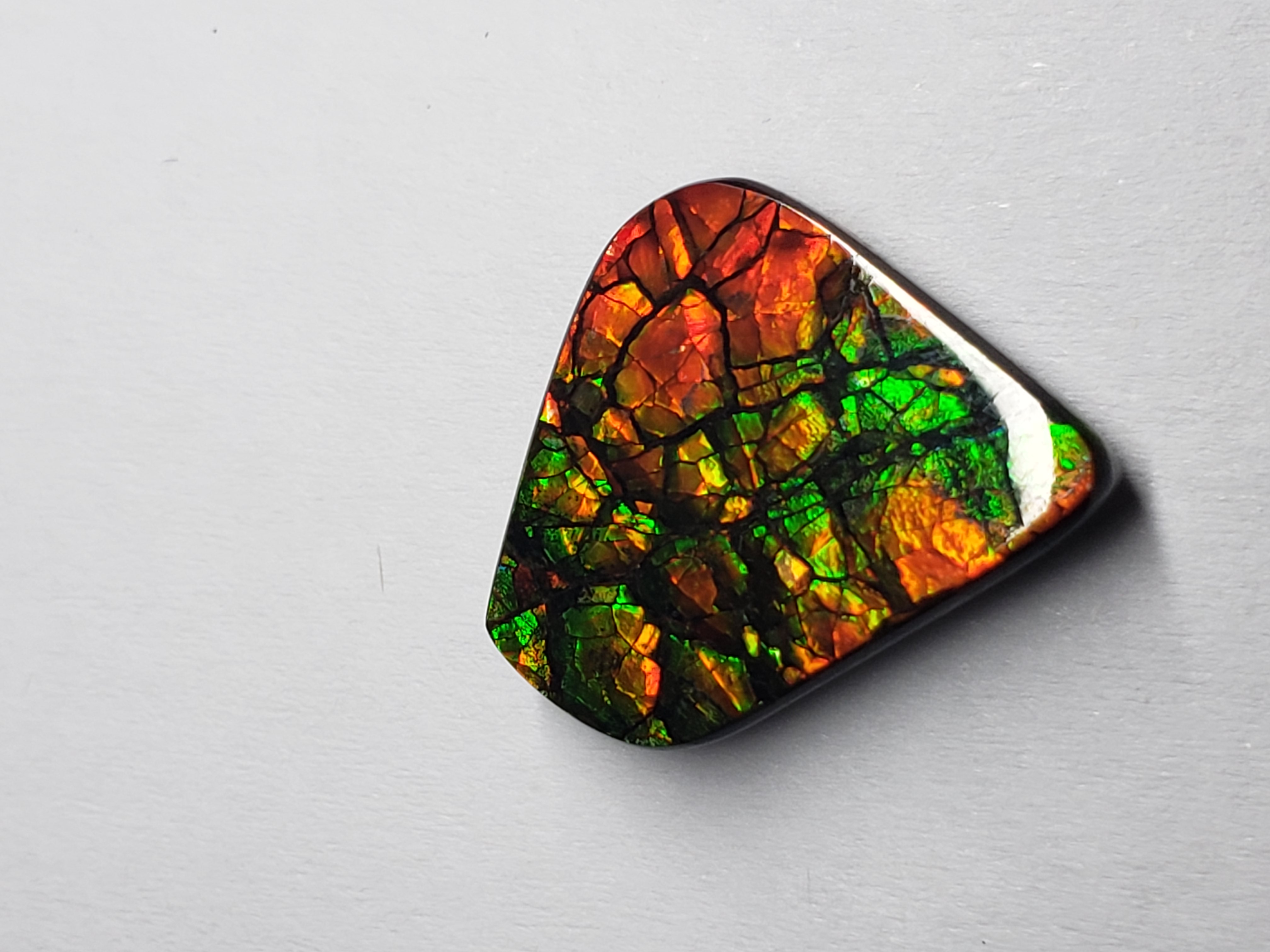 14x17 Ammolite Canada's Opal Natural Free Form 2 Color Green & Gold Gemstone