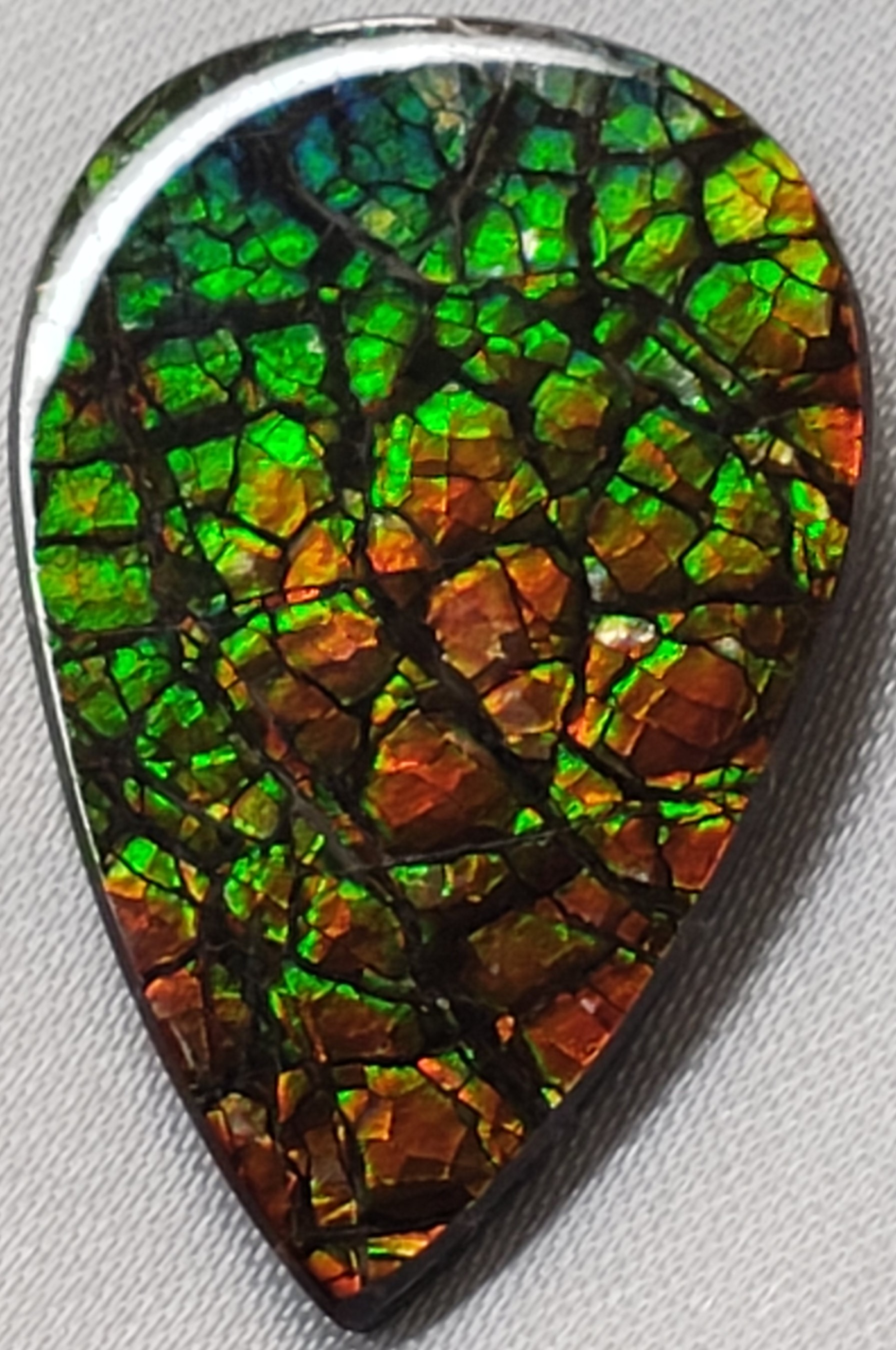 29x19 Ammolite Canada's Opal Tear Drop Form 2 Color Green & Gold Gem