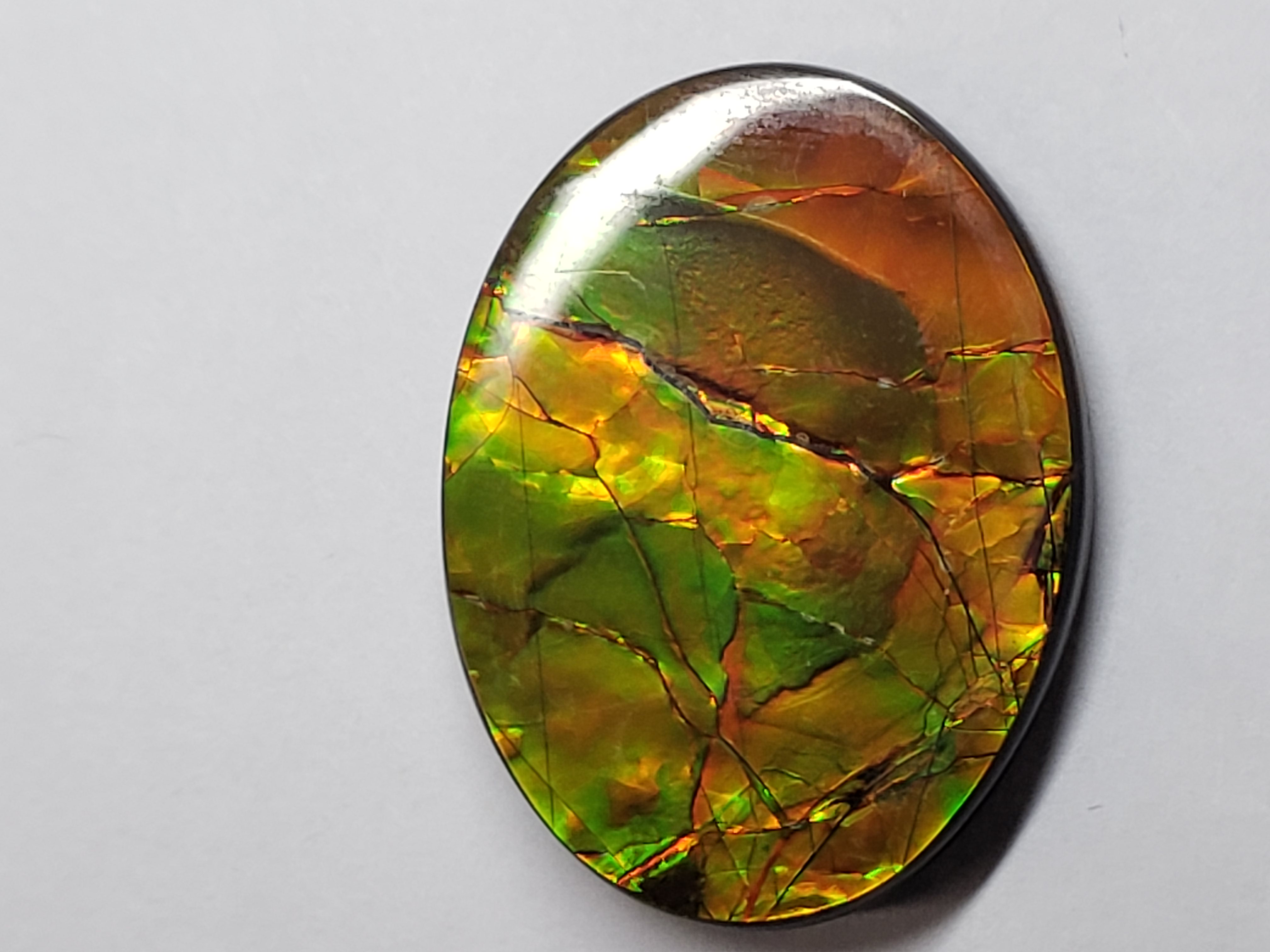 23x30 Ammolite Canada's Opal Oval Shape Triplet 2 Color Gold & Blue Gemstone