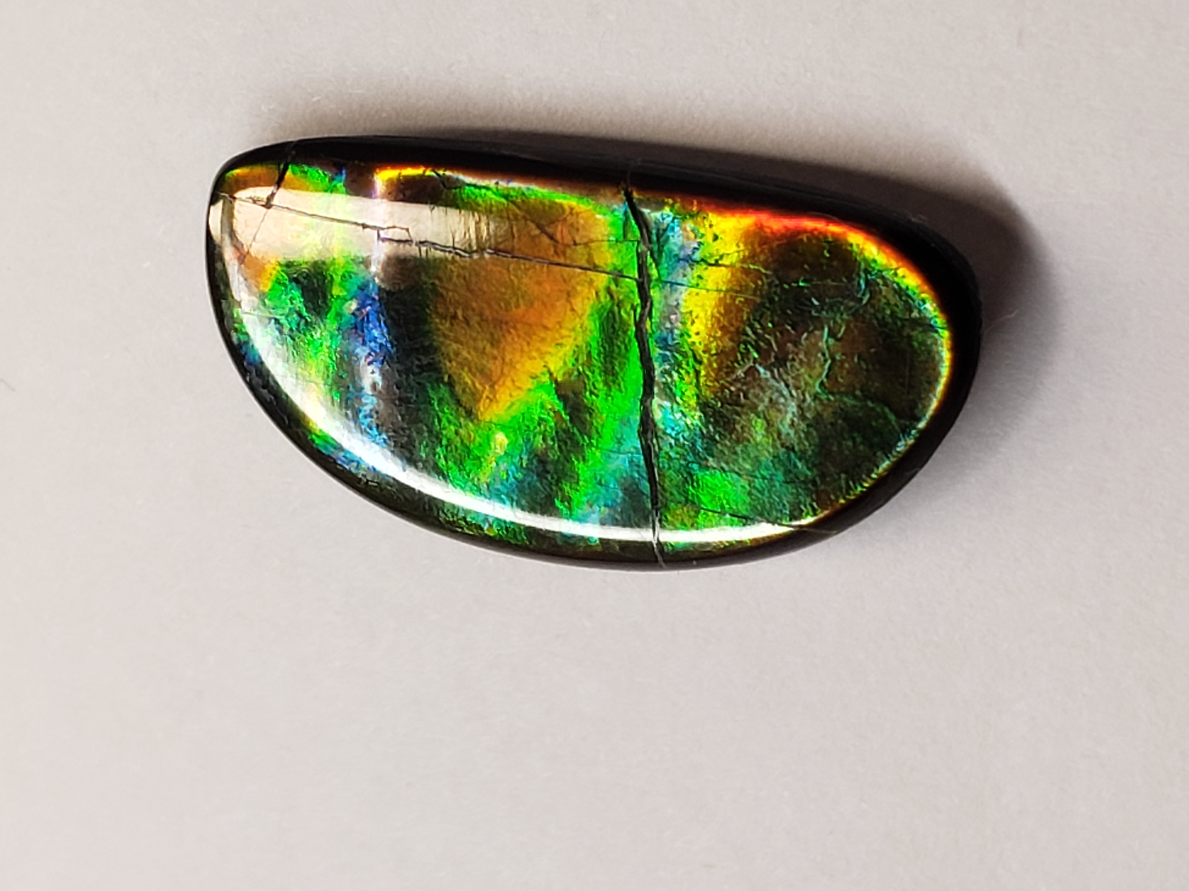13x26 Ammolite Canada's Opal Natural Free Form 2 Color Green & Gold Gemstone