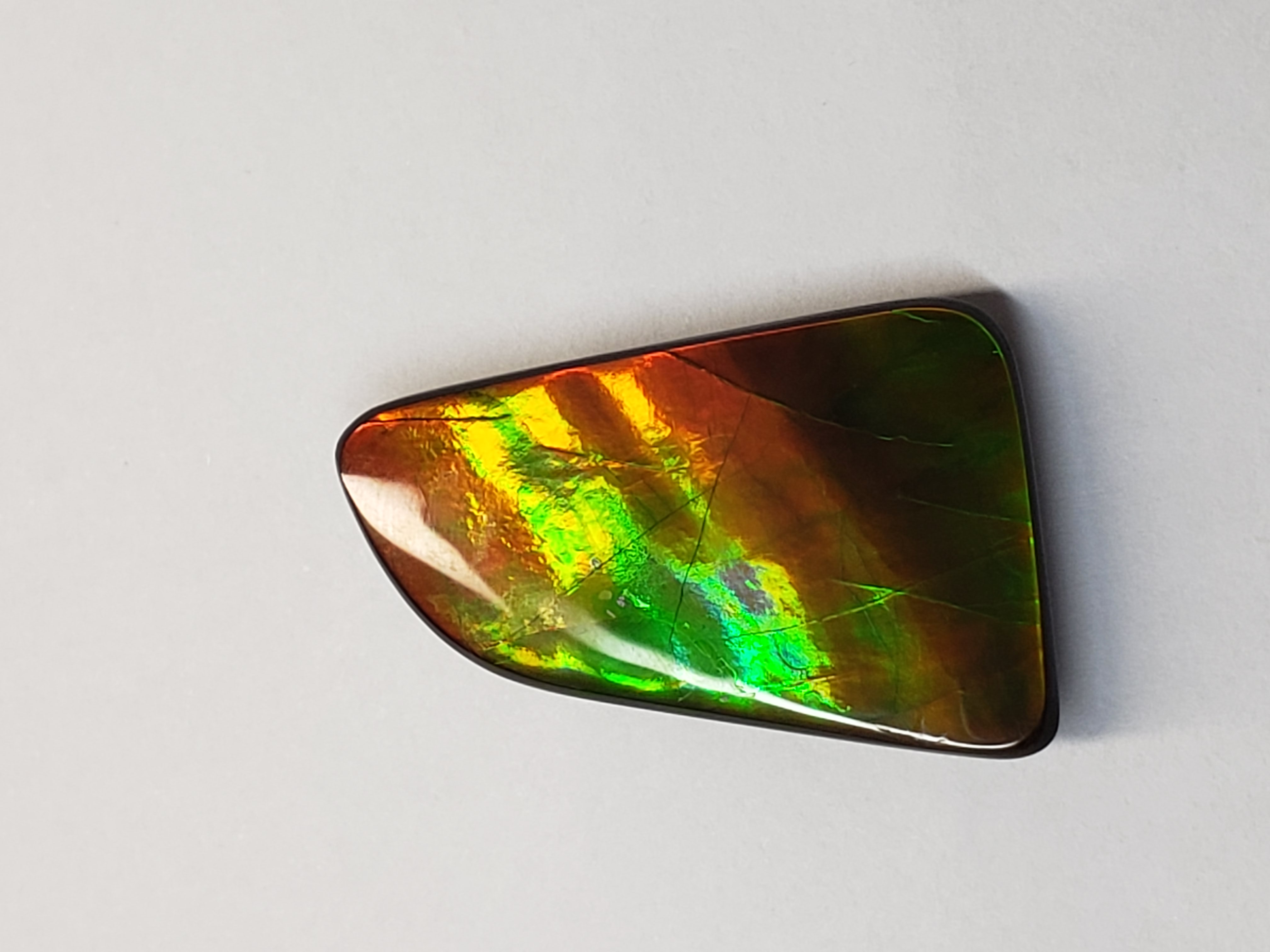 29x19 Ammolite Canada's Opal Natural Free Form 2 Color Green & Gold Gemstone