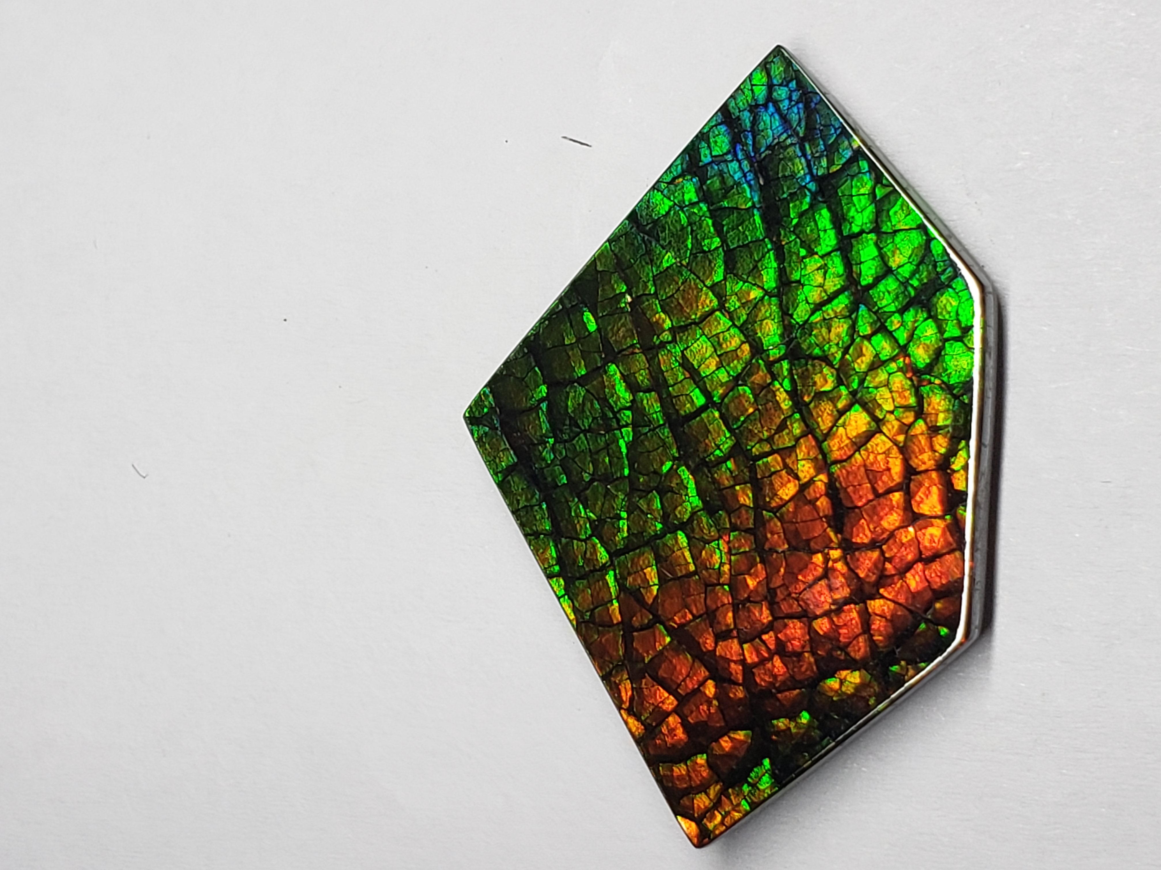 36x25 Ammolite Canada's Opal Natural Free Form 2 Color Green & Gold Gemstone