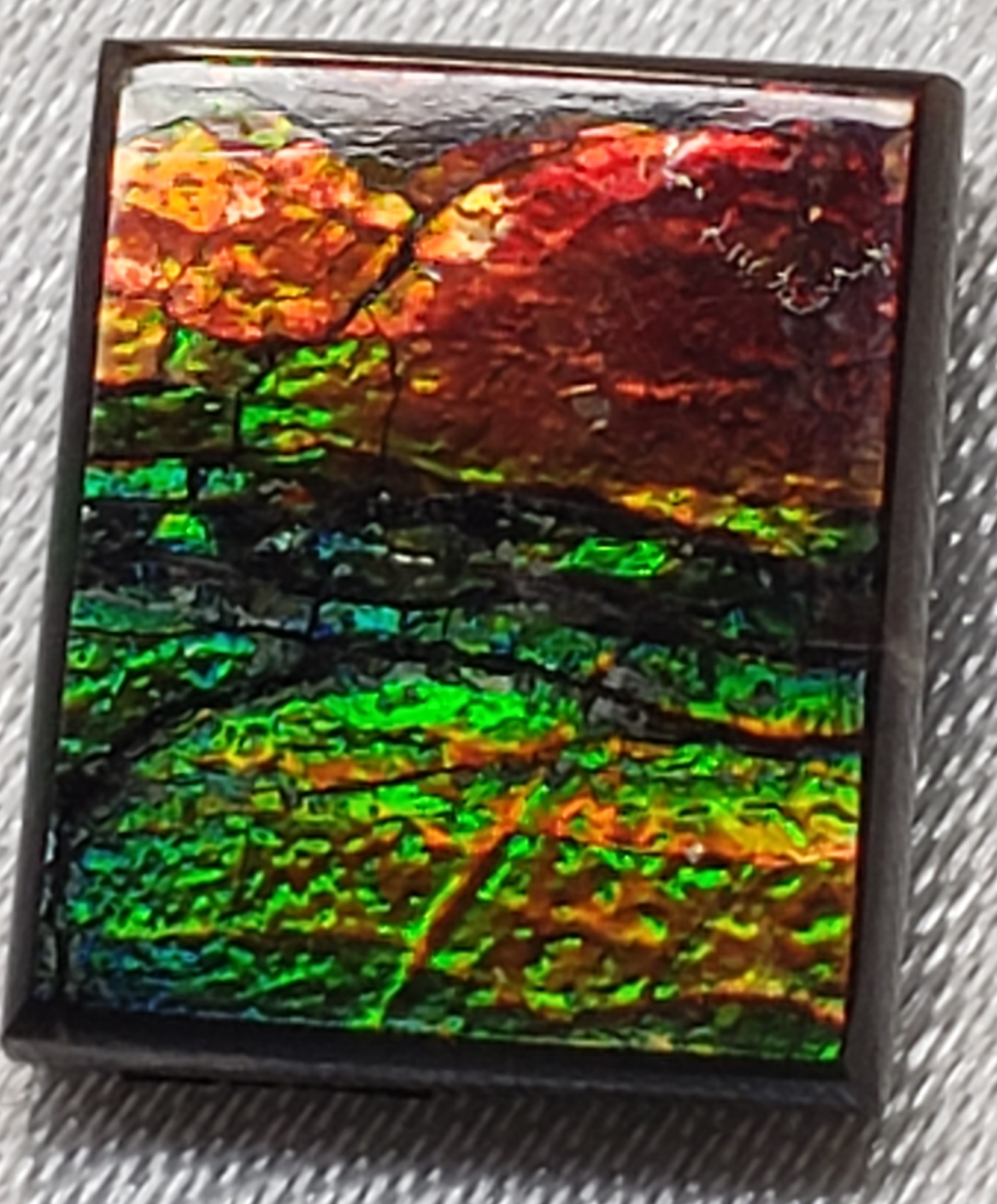 12x10 Ammolite Canada's Square Form 2 Color Green & Red Gem