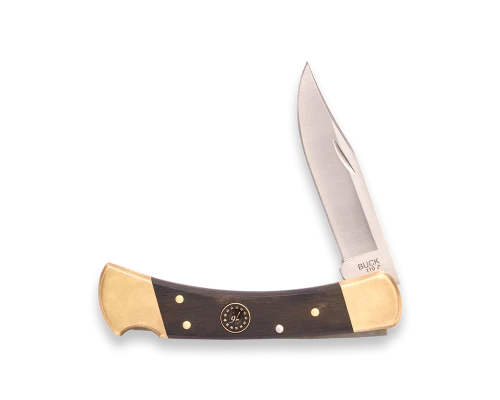 Buck 0110BRSUSA1 America 250 Anniversary Folding Hunter Ebony