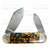 Bulldog Germany Bluegill Sunfish Elephant Toenail