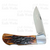 Ray Cover Custom Amber Stag Bone Lockback