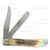 2006 Case Genuine Stag Mini Trapper 5207