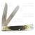 2001 Case Molasses Bone Silver Script Trapper 6254