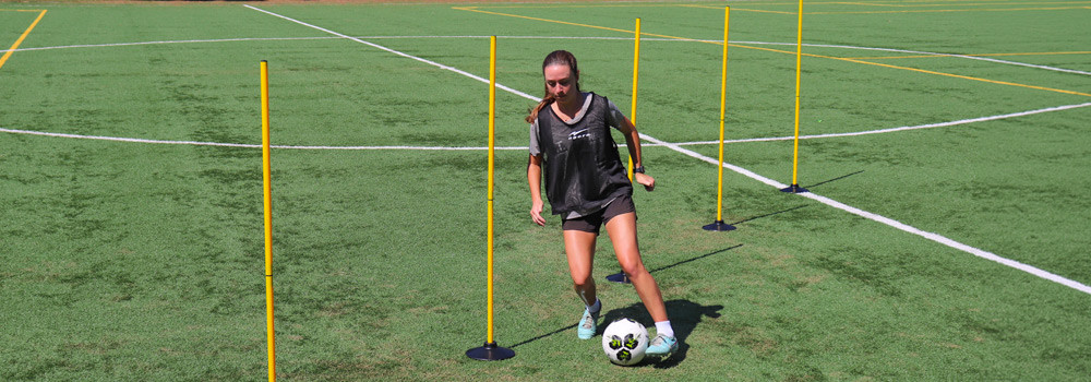Breakdown: Which Agility Poles Are Best for Your Use Case?