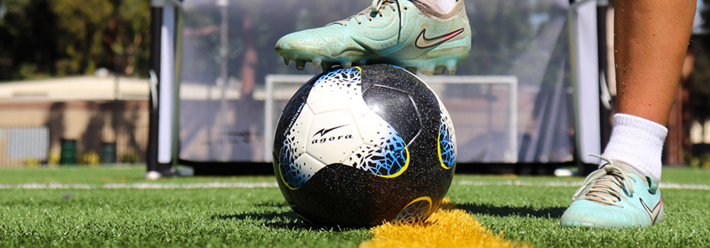 New Arrivals! Foldable Goal, Match Ball & More