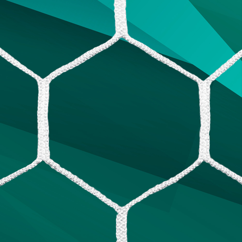 4mm HTPP Hexagon Net for 4x6 Goals with Depth