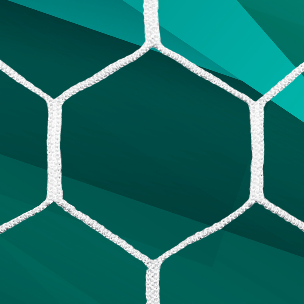 4mm HTPP Hexagon Net for 7x21 Goals with Depth