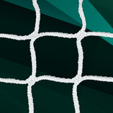4mm HTPP 2 inch Square Net for 8x24 Goals with Depth