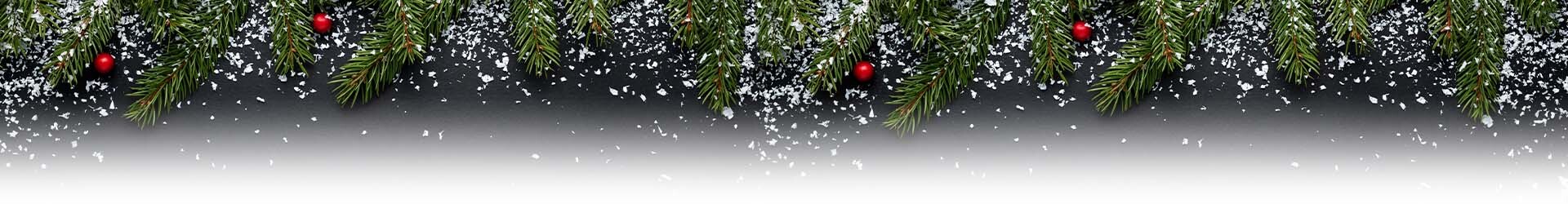 Holiday Shipping Schedule