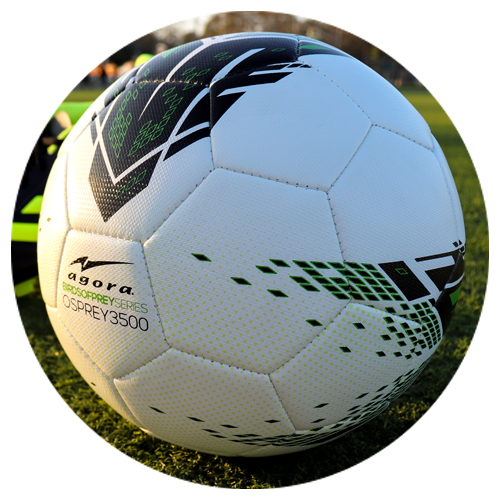 Free Osprey Balls