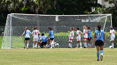 6.5' x 18.5' Goals (U9 - U10)