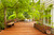 RainCoat® Oil Base Clear Sealer image 4