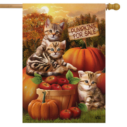 Fall Kittens House Flag
