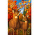 supplemental image 1