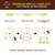 supplemental image 5