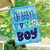 Baby Boy Double-Sided House Flag