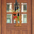 supplemental image 2