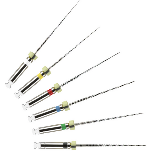 ProFile 6 stk. 25 mm, Taper .04, ISO 020