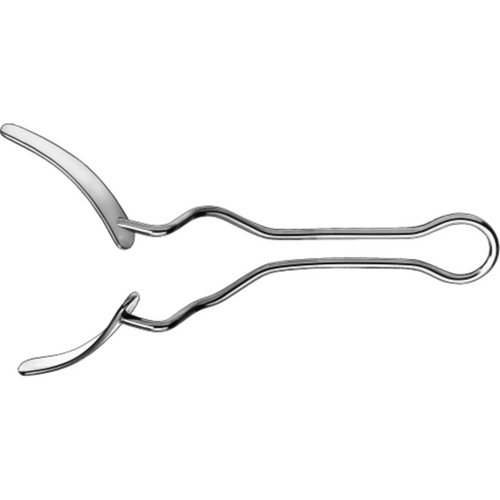 Vestibulær støtte del 1886