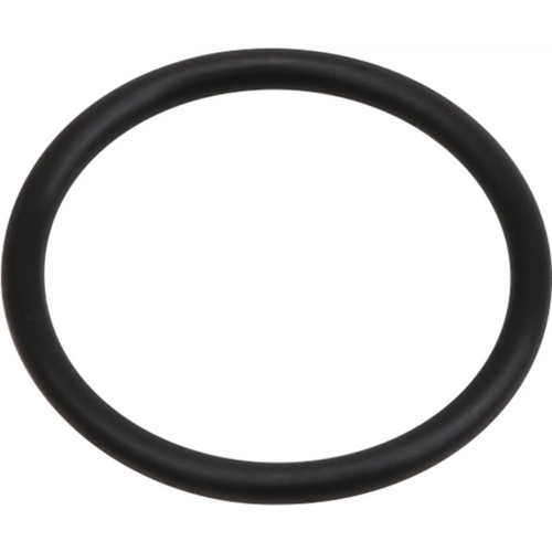 AIR-FLOW Prophylaxis Master tetningsring stk. hvit