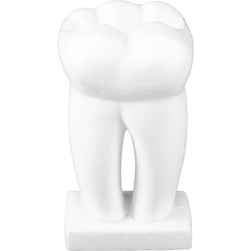 Styrofoam tooth stk.