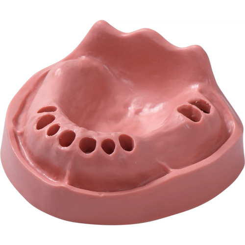 Gingiva-modeller stk. OK TZ 9N