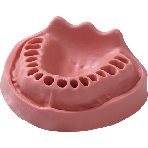 Gingiva-modeller stk. OK VZ