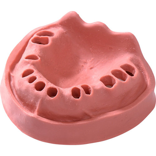 Gingiva-modeller stk. OK TZ 12N