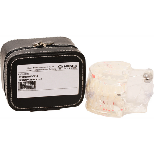 Transparent Plus studiemodell stk. gjennomsiktig