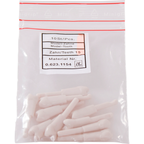 Snap tannmodell premolar 10 nr. 15