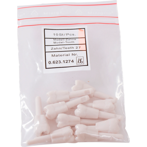 Snap tannmodell molar 10 nr. 27