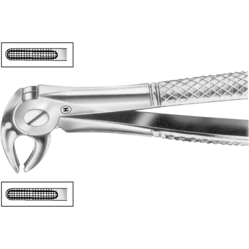 Ekstraksjonstang stk. HSA 572-13, figur 13, for nedre premolarer, begge sider