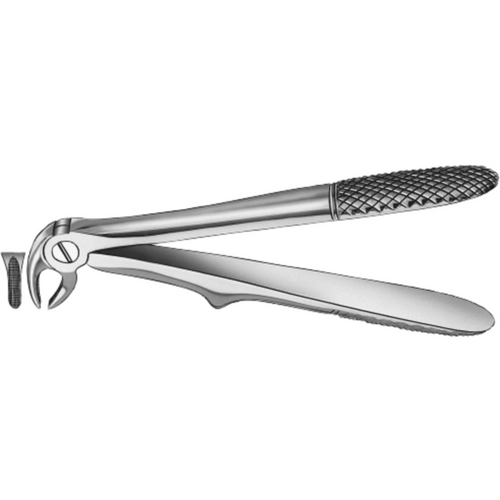 BarnetengerKlein stk. 280/5, underkjevens fortenner