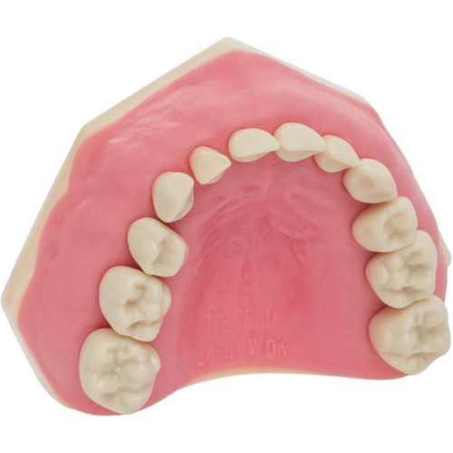 Barnetannmodell AK-6 stk. OK inkludert 10 tenner