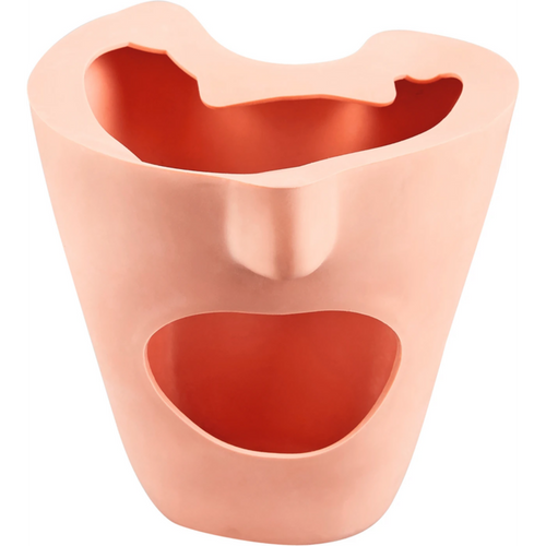 Ansiktsmaske stk. P-6GM