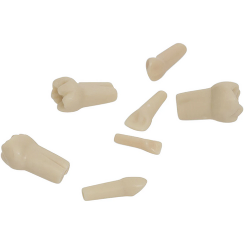 Modelltann barn AK-6 stk. nr. 75